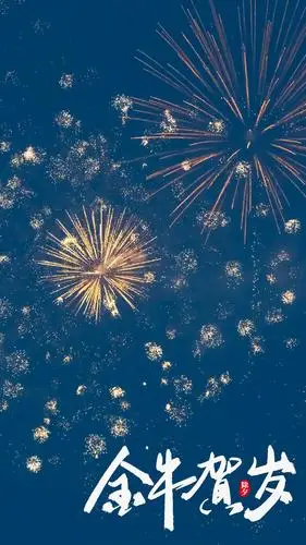 2021金牛贺岁唯美烟花,高清图片,手机壁纸