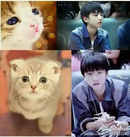 三小只的搞笑图 你见过吗