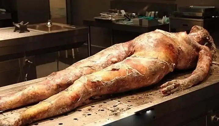 千年干尸,这是个男人还是女人