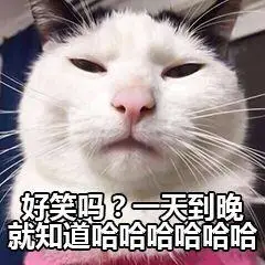 好笑_好笑表情包大全_斗图大全