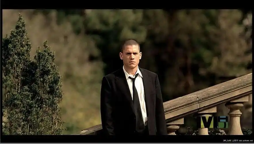 你们get得到越狱男主的长相吗?