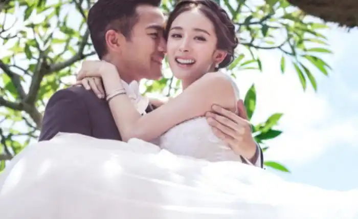 杨幂和刘恺威结婚照(刘恺威和杨幂颜值最高)