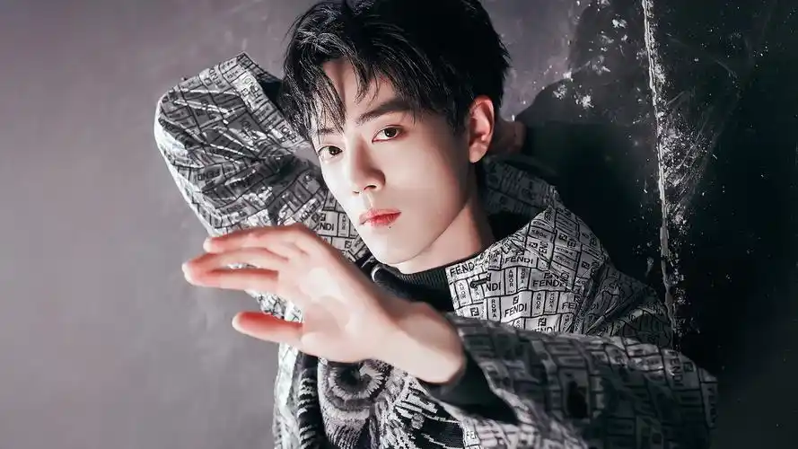 肖战- 堆糖,美图壁纸兴趣社区