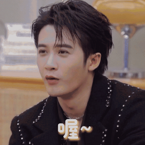 声生不息宝岛季#表情包店铺之【张信哲队】《声生不息·宝岛季》表情