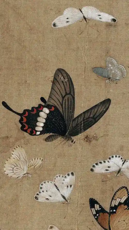 工笔画技法:李晓明《临宋晴春蝶戏图》绘制步骤