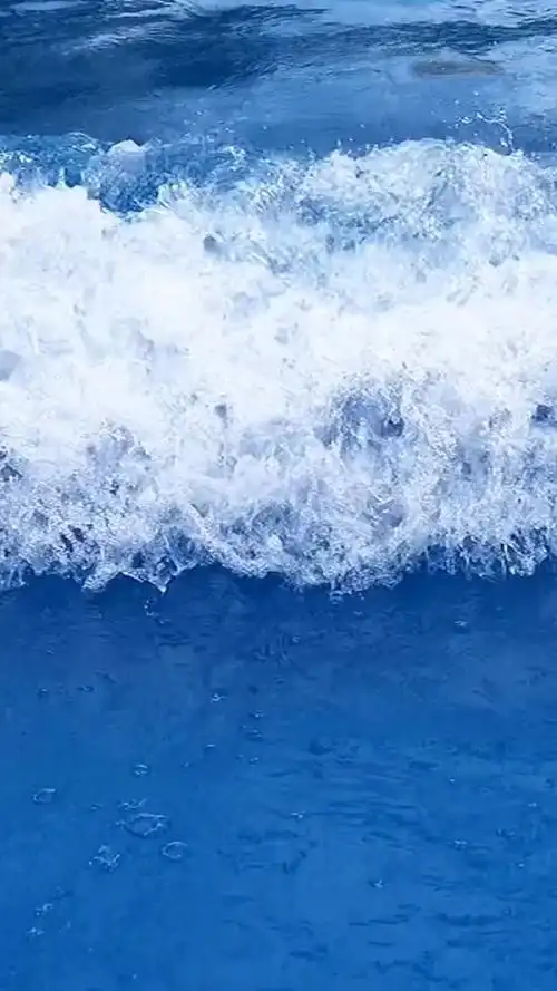 浪花朵朵动态壁纸_高清竖屏视频下载-火萤壁纸