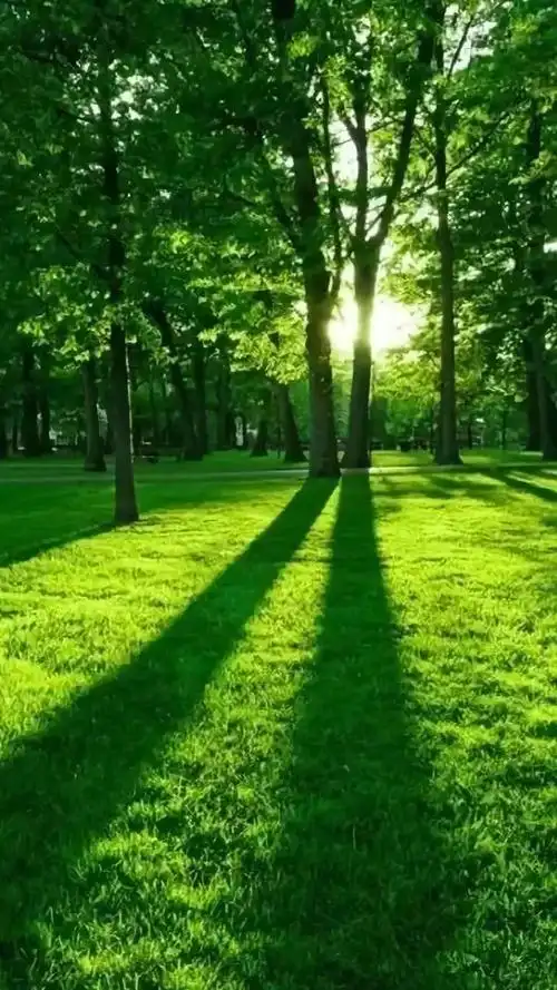 高清微信护眼图,选1张当聊天背景图吧!_眼睛