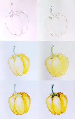 手绘一些简单的彩铅水果,带步骤,初学者必看