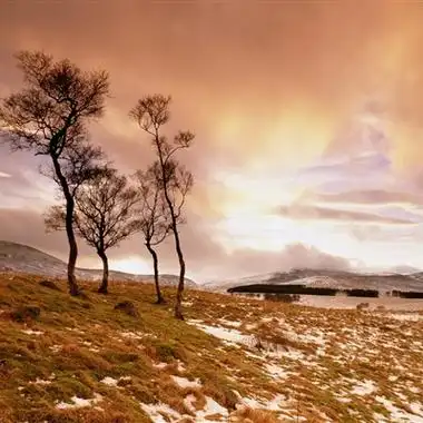 2021最美风景头像治愈系一看就舒心最美风景