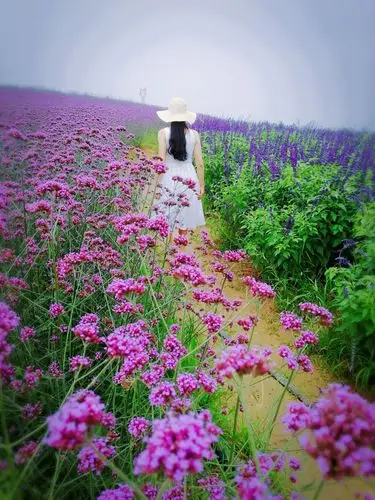 一颦一笑都有 不去想哭了笑了累了倦了 这一刻 看着你的背影渐行渐远