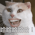搞笑:哈哈哈哈哈!表情包