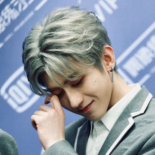 蔡徐坤同款中分假发奶奶灰假发男蔡徐坤同款中分刘海短卷发韩版帅气
