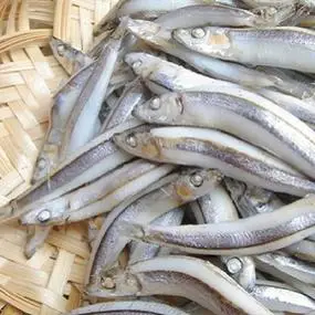 查询食物能不能吃