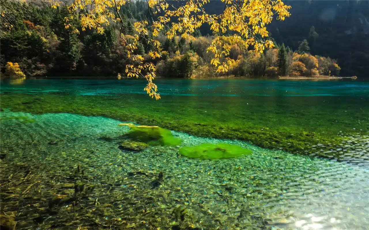 四川九寨沟自然风景桌面壁纸下载