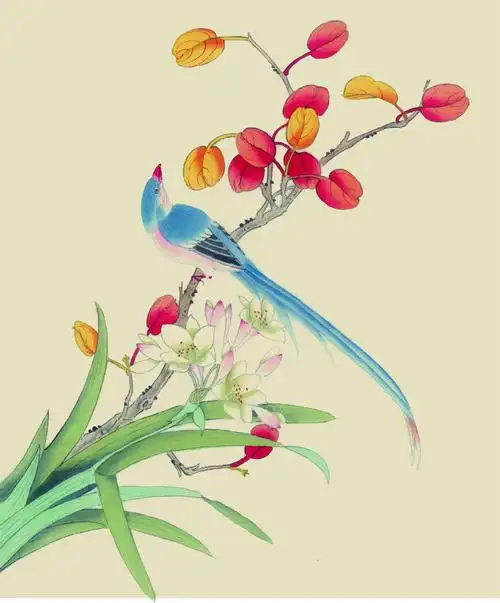 中国风水彩花鸟图矢量