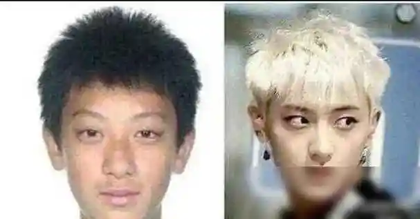 明星整容前后大变样,鞠婧祎变美惊艳,宋仲基大不同