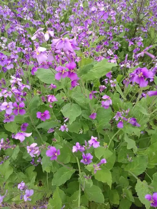 个人生活照和风景照片