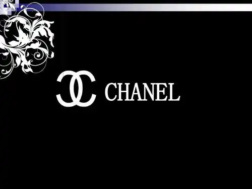 chanel服装发展ppt