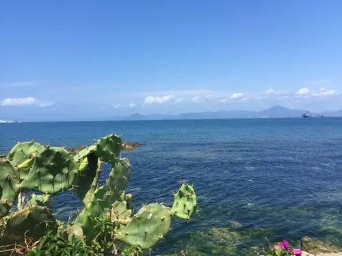 阳光,沙滩,海浪,仙人掌