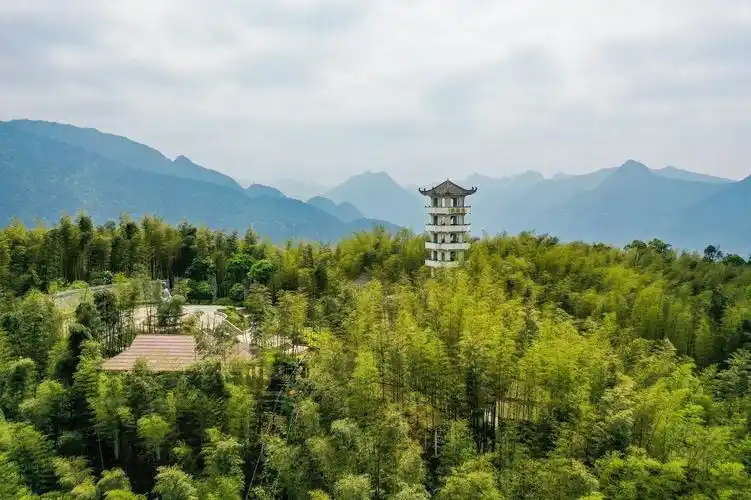 赤水竹海国家森林公园