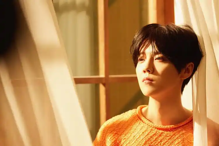 鹿晗《体会》mv绝美壁纸解锁,大陆明星-回车桌面