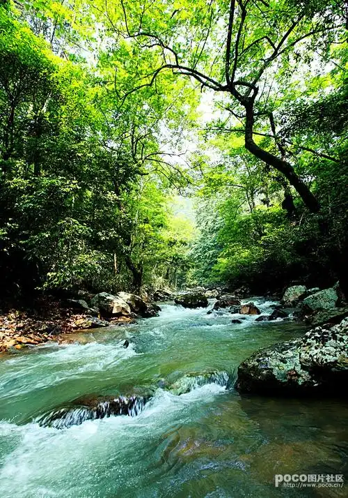 井岗山之山青水秀_风景_poco摄影