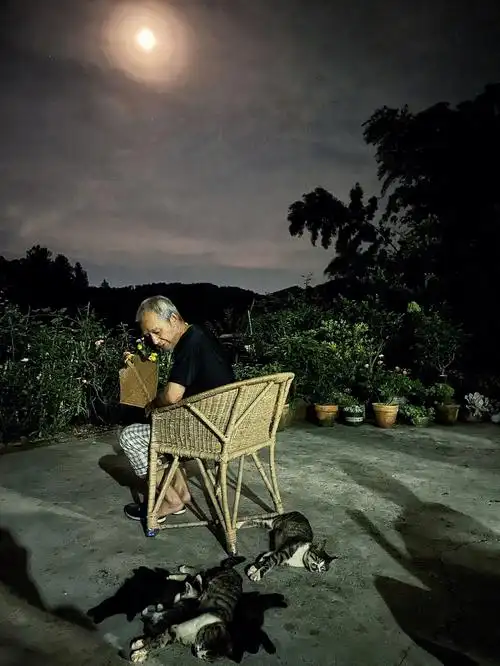 一秒回到小时候夏天的夜晚虫鸣蛙叫凉风吹