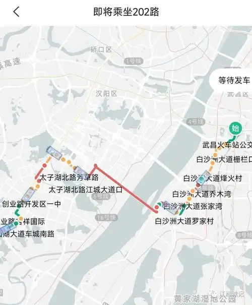 武汉公交202路已有调整计划上报待批