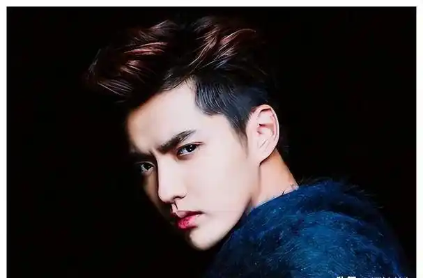 吴亦凡因为身材高挑,长相帅气,还有那种韩范儿的妆容,一出道就吸引了