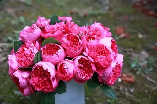 实物比照片好看太多独一无二的古风少女蔻丹