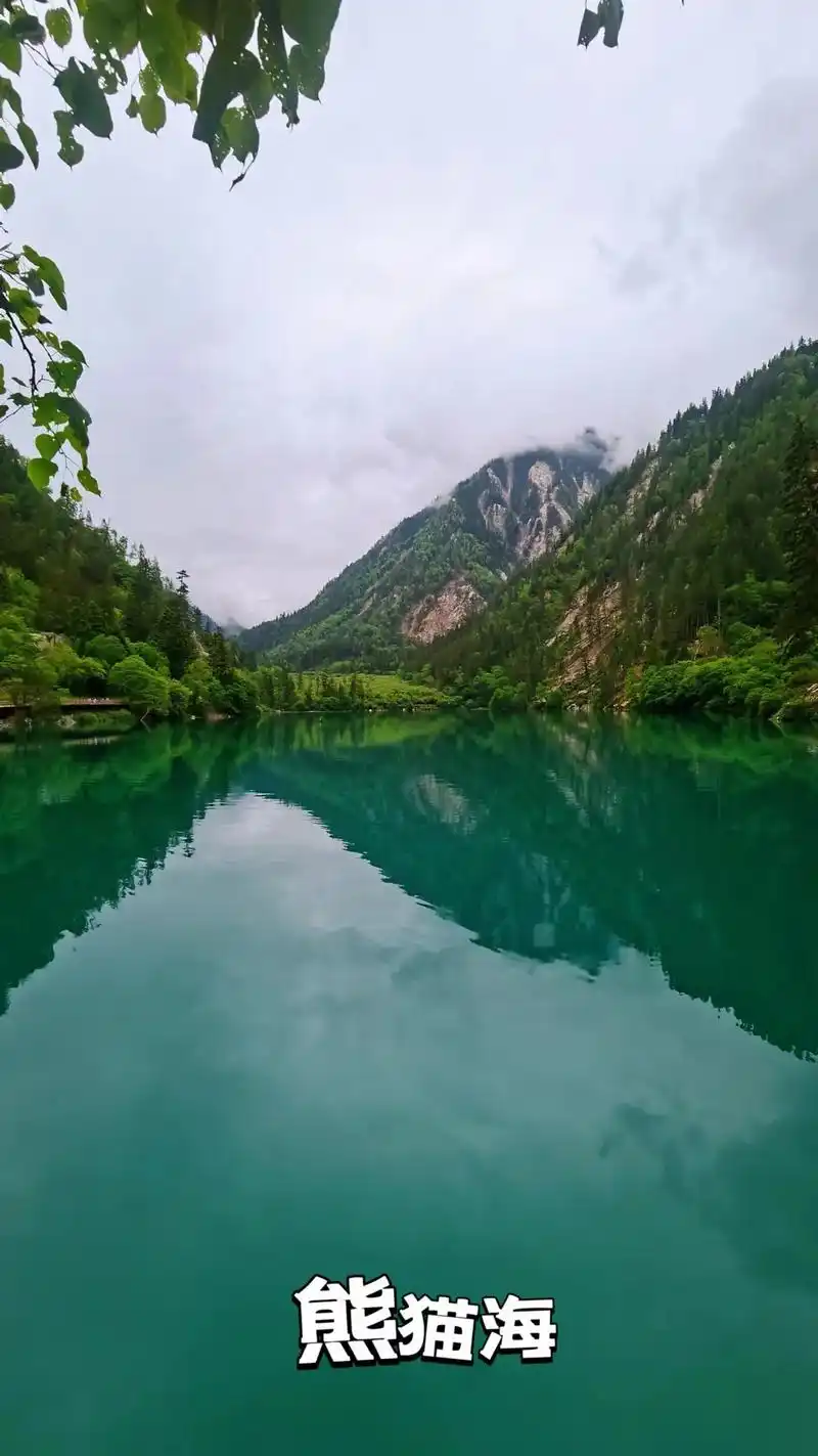 世界上只有一个九寨沟.