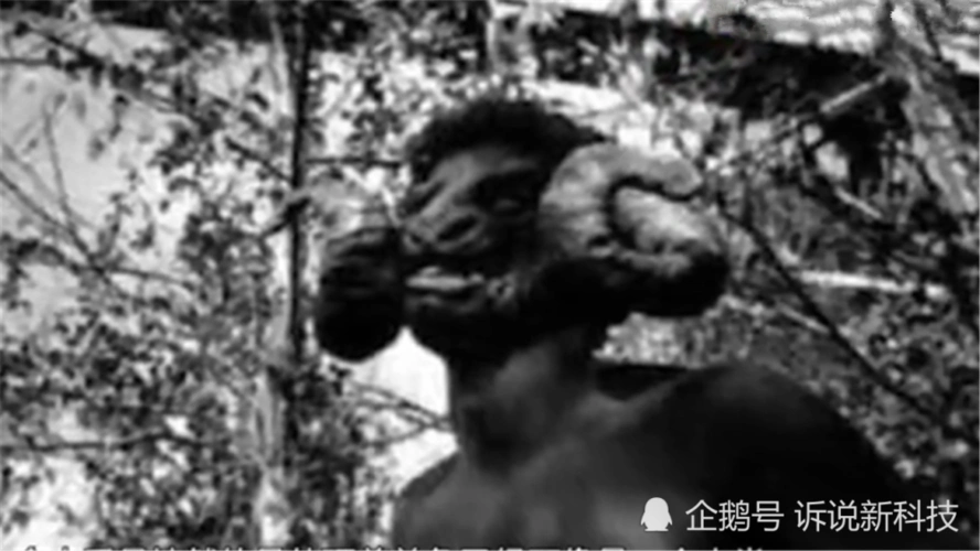 多人目睹其踪迹,他是被迫害的吗?