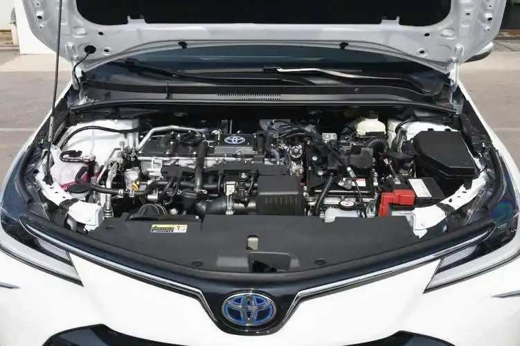 卡罗拉1.6l油耗多少真实油耗