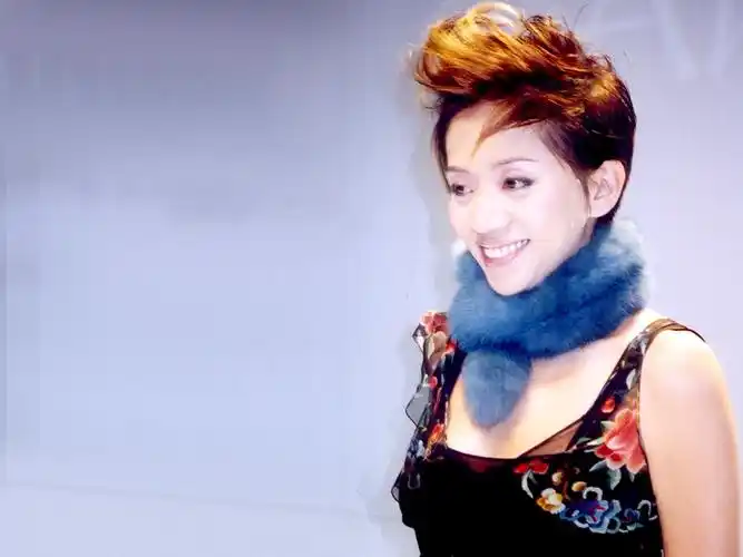 p>《交出我的心》是 a target="_blank" href="/item/梅艳芳/230174"