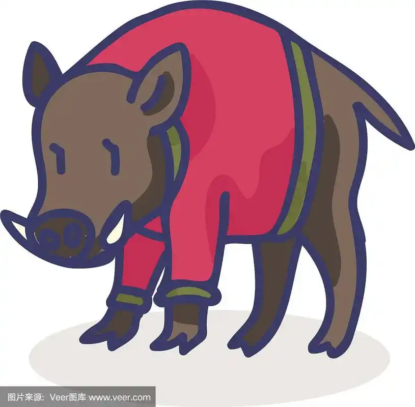 可爱的野猪卡通与毛衣