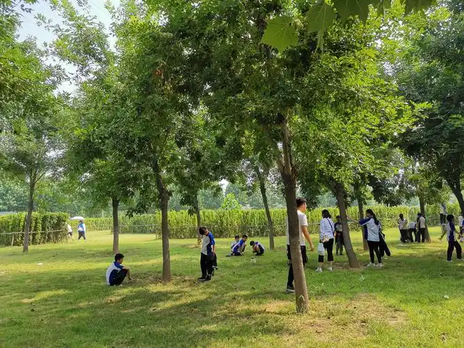 "亲近大自然"——梁山县行知学校小学部户外研学活动