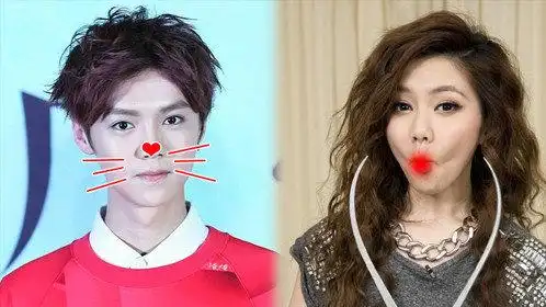 《怪咖一休 第3季》明星蜜汁撞脸 邓紫棋像鸵鸟 赵丽颖鹿晗王源像谁?