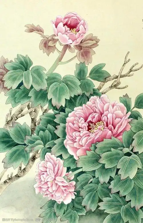 关键词:红牡丹 牡丹 国画 花鸟画 工笔画 张德泉 绘画书法 文化艺术