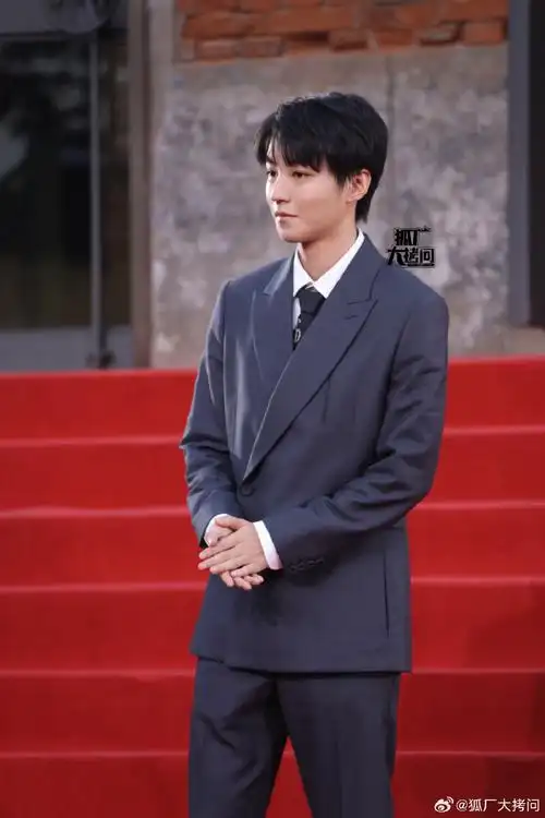 王俊凯红毯反差感##王俊凯红毯全身镜头##平遥国际电影展