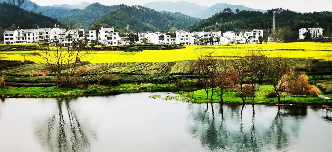 婺源旅游图片,婺源自助游图片,婺源旅游景点照片 - 马蜂窝图库 - 马