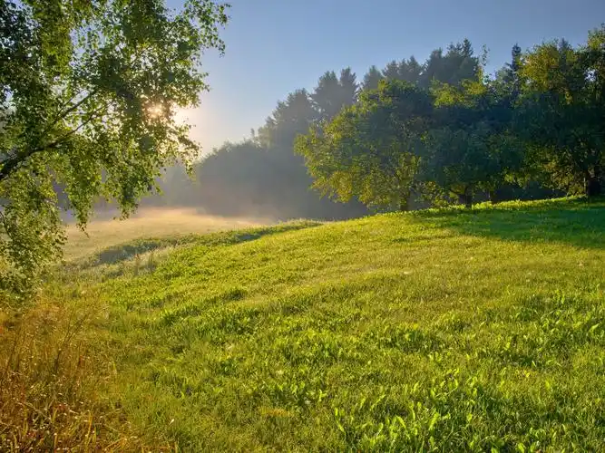 描述: 夏天的早晨-风景高清壁纸 当前壁纸尺寸: 1920 x 1440