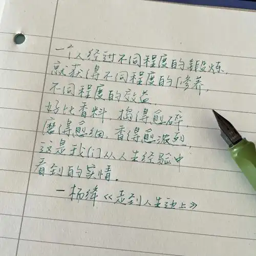 一些钢笔字我已无暇顾及过去