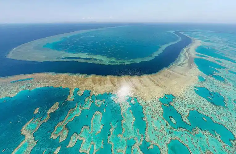 世界上最大的洋是太平洋,那世界上最大的海是什么海呢?