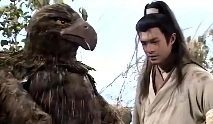 他勤修武功,行侠江湖,大雕始终不离不弃,于是杨过有了神雕大侠的称号