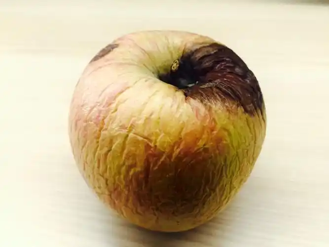 一个腐烂的苹果