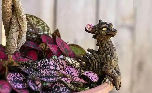 12张超级可爱的树龙摄影照