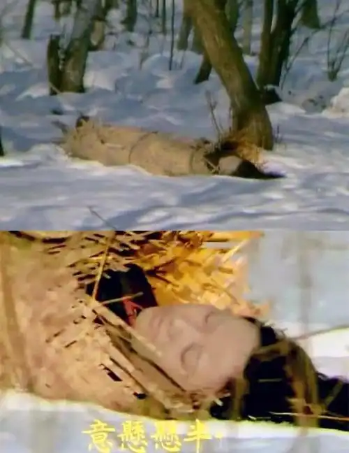 87版王熙凤扮演者邓婕,曾因个子矮不被看好,一试镜惊艳全场_腾讯新闻