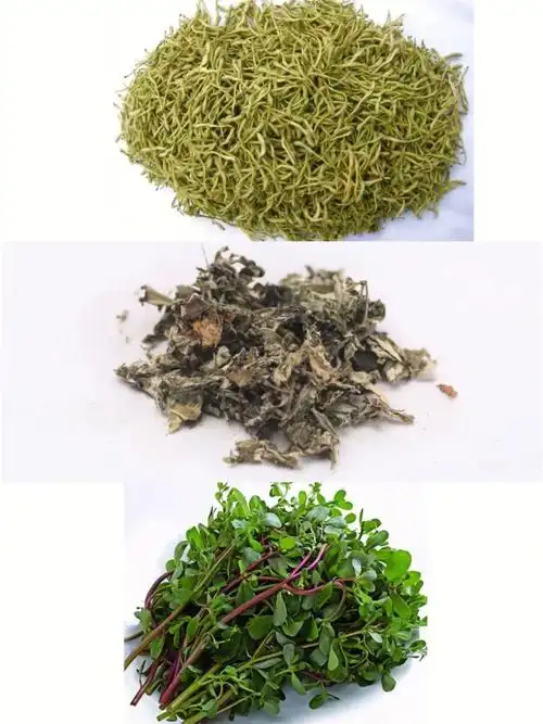 [玫瑰r]金银花:外用清洗皮肤,可以杀菌止痒,治疗湿疹.