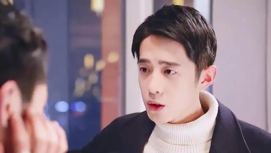 每一个版本的《流星花园》都有其独特的魅力,它们以不同的面貌触动了