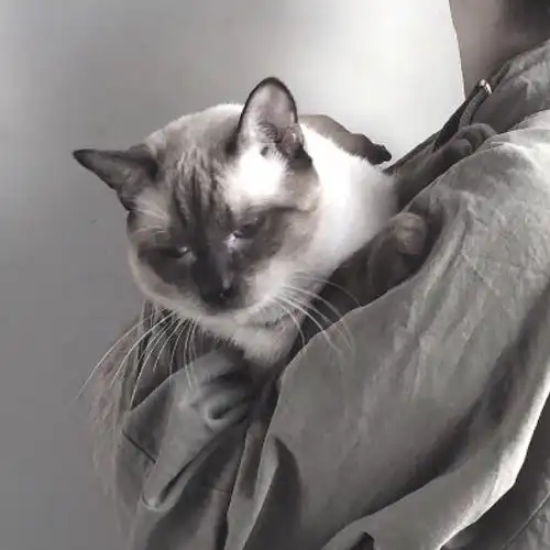 对象不是人系列情侣头像